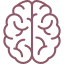 brain
